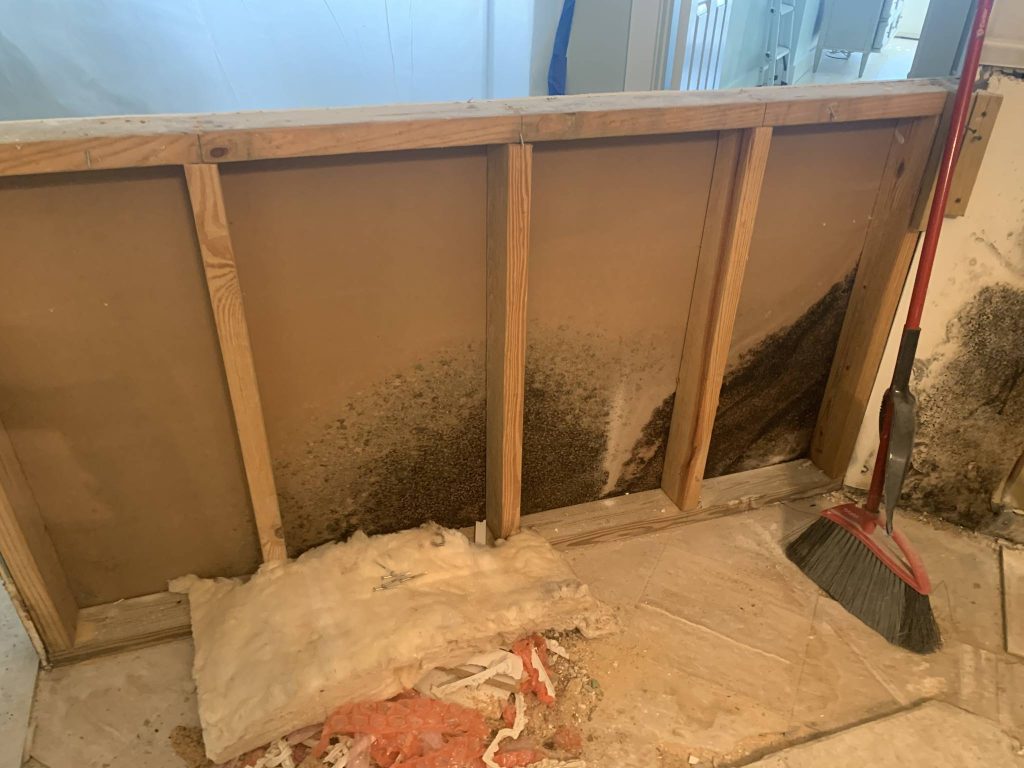 A partially removed wall showing exposed wooden studs and drywall with visible black mold growing on the inner surface. A broom is leaning against the wall, and some insulation material is on the floor.