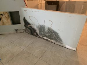 A close-up of a wall with black mold growing near the baseboard area. There is visible damage to the drywall and surrounding surfaces.