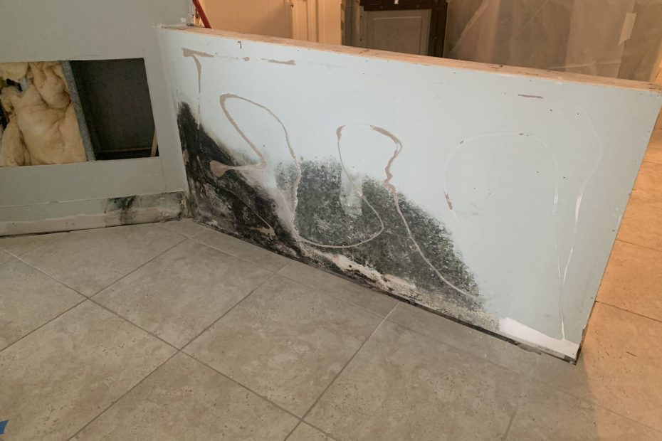 A close-up of a wall with black mold growing near the baseboard area. There is visible damage to the drywall and surrounding surfaces.