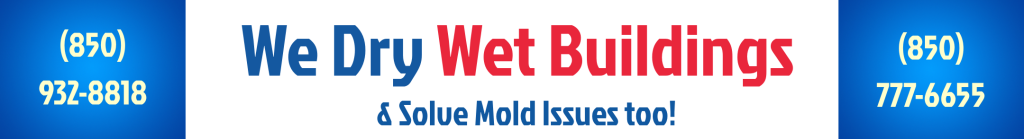 We Dry Wet Buildings